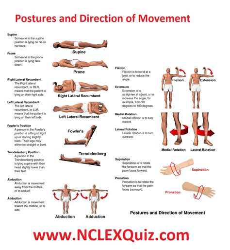 Trendelenburg Position Nursing