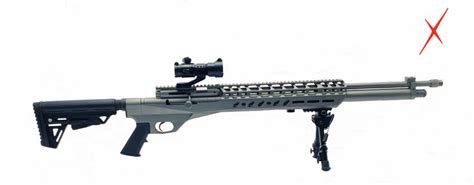 Extreme Big Bore Air Rifles|The Most Powerful Big Bore on the Planet!