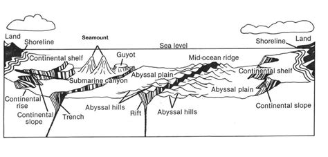 The Ocean Floor Diagram Answers | Review Home Decor