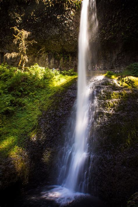 Silver Falls State Park – The Expats Return Silver Falls, Expat, Pacific Northwest, North West ...