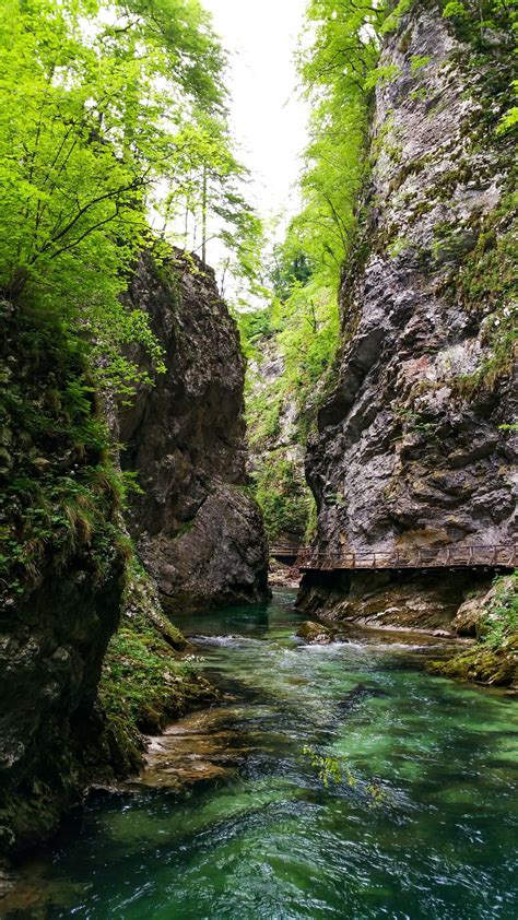 Jesenice Travel Guide: Best of Jesenice, Slovenia Travel 2024 | Expedia.co.uk