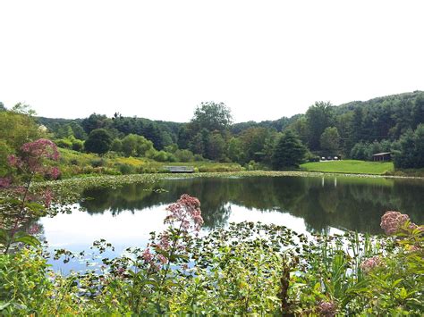 Hashawha Environmental Center & Bear Branch Nature Center – Discover ...