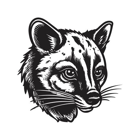 civet, vintage logo line art concept black and white color, hand drawn ...