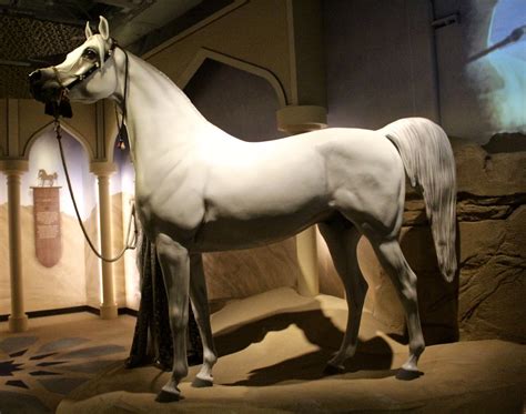 Two Cowgirls And A Jumper: The International Museum Of The Horse