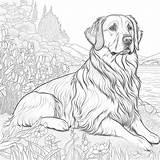10 Printables Dog Coloring Pages Instant Digital Download PDF  Etsy sketch template