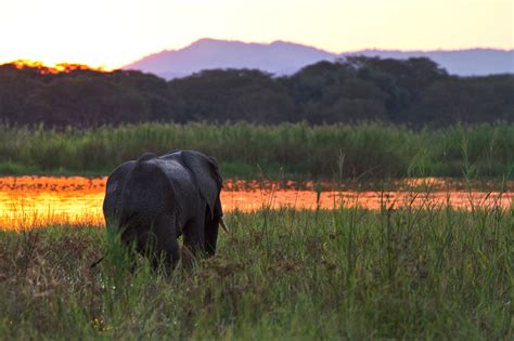 Why Malawi safari adventure holidays have something for everyone