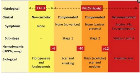 End-Stage Liver Disease in HIV Disease | Livers With Life