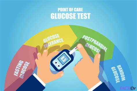 Post-Prandial Blood Sugar: Results, range, cost, & procedure | FactDr