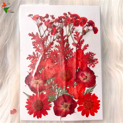 21 In 1 Pressed Flowers For Resin Art – Epoxy Art India