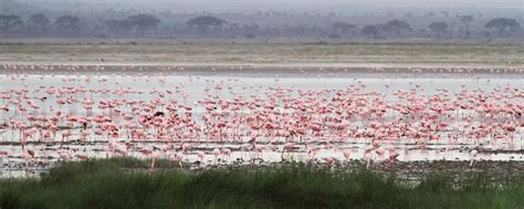 Amboseli National Park lakes | Exploring Africa