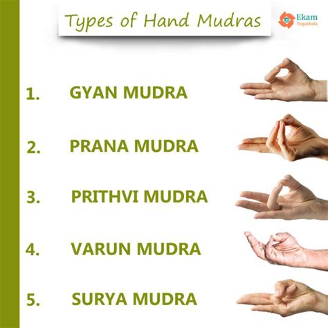 MEANING, POWER OF HAND MUDRA AND BENEFITS OF MUDRA - Ekam Yogashala Acupressure Therapy ...