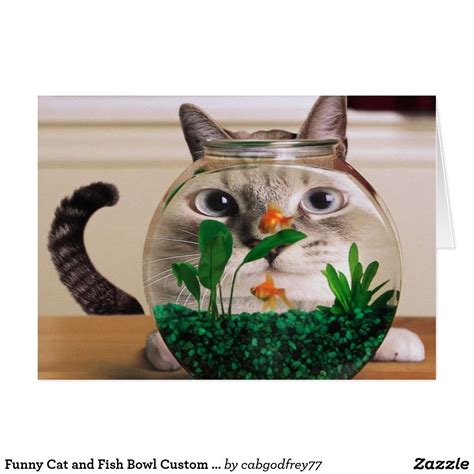 Funny Cat and Fish Bowl Custom Greeting Card | Zazzle.com in 2020 | Crazy cats, Kittens funny, Cats