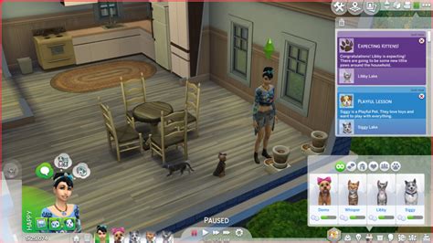 The Sims 4 Cats & Dogs: Breeding for Profit