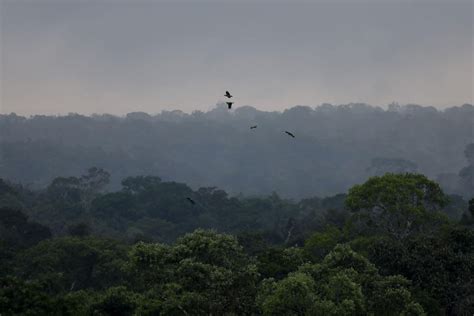 Brazil Already Has Its Best Tool Against Deforestation