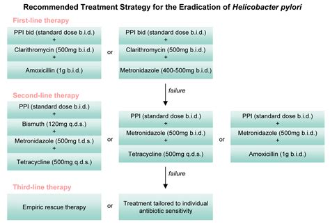 Eradication of Helicobacter pylori