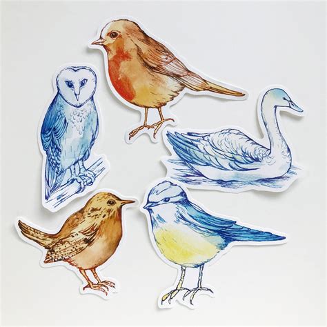 Pack of 5 Stickers Birds Bird Stickers Nature Stickers | Etsy