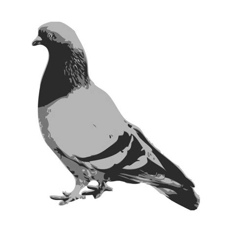 Check out this awesome 'PIGEON' design on @TeePublic! | Pigeon, Birds, Tshirt designs