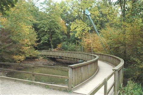 Salcey Forest. The entrance to the tree top walk. | Tree tops, Forest, Places