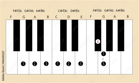 G major scale fingering for piano to use with every application Stock Vector | Adobe Stock