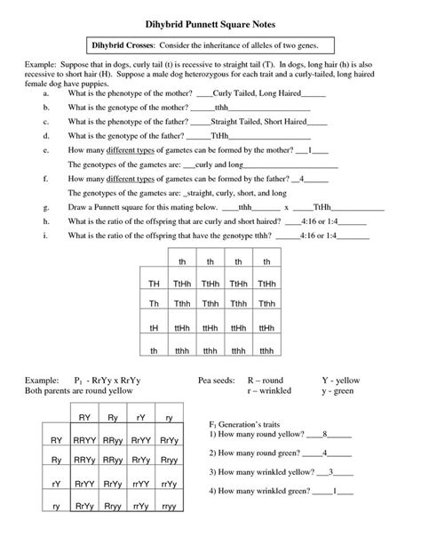 Genetics Practice Problems Dihybrid Crosses Answer Key › Athens Mutual Student Corner