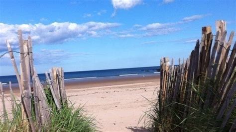 Petition · Protect the Beaches of St Andrews · Change.org