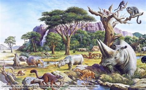 The Neogene Period And Appearance Of First Modern Mammals.