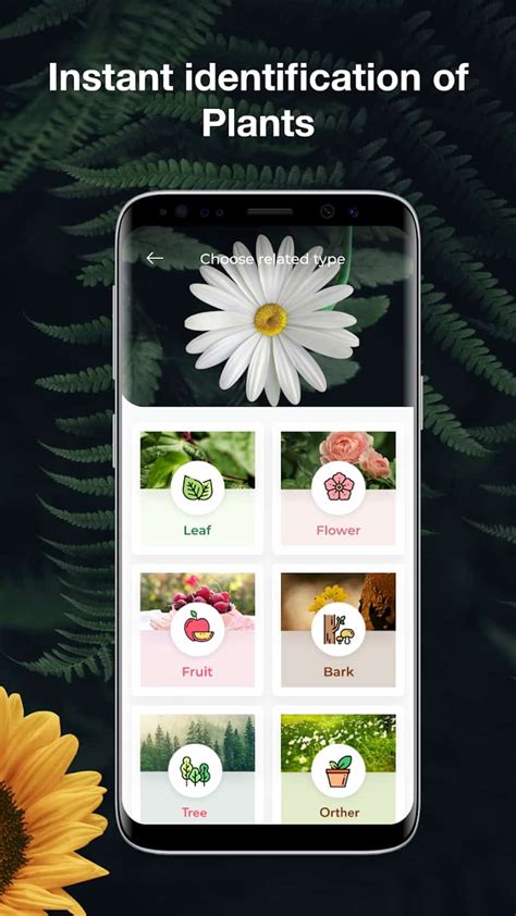 Flower Tree Identification App | Best Flower Site