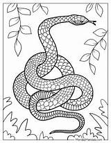 40 Snake Coloring Pages Free PDF Printables sketch template