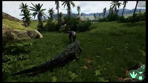 How To Properly Bait a Carnotaurus on The Isle. - YouTube