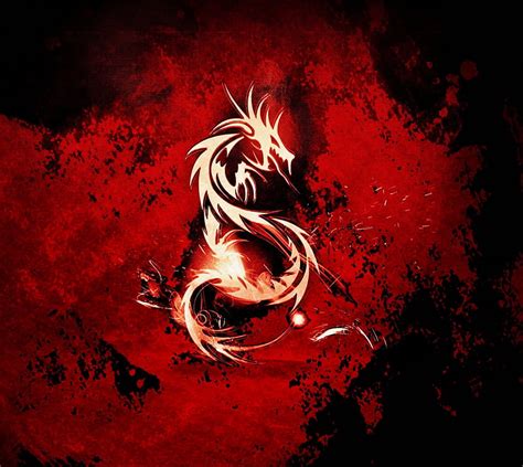 1080P free download | Dragon, fdsf, sdg, HD wallpaper | Peakpx