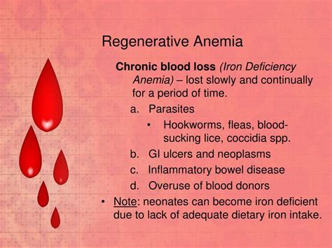 PPT - Anemia PowerPoint Presentation, free download - ID:2872585