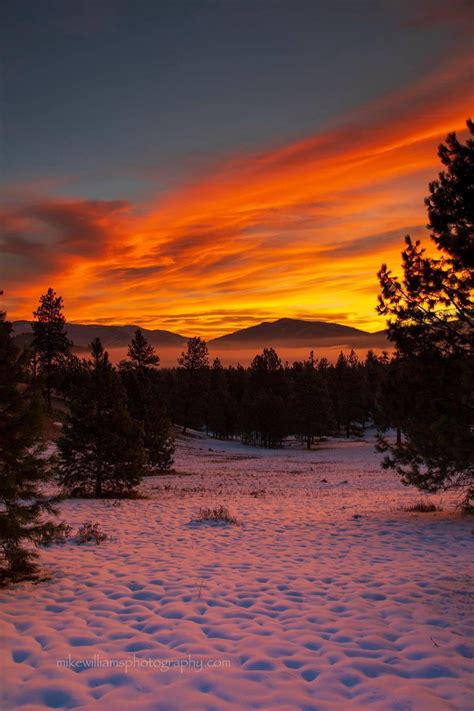 Montana sunrise (photo by Mike Williams Photography) : r/sunrise