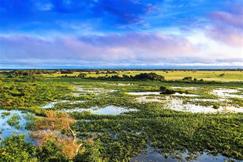 5-five-5: Pantanal Conservation Area (Brazil)