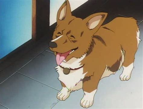 Our Top 4 Best Anime Pets - Rice Digital