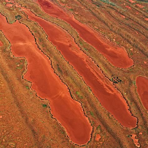 Exmouth Gulf, Western Australia. Linear sand dunes and dried salt pans shape the saline coa ...