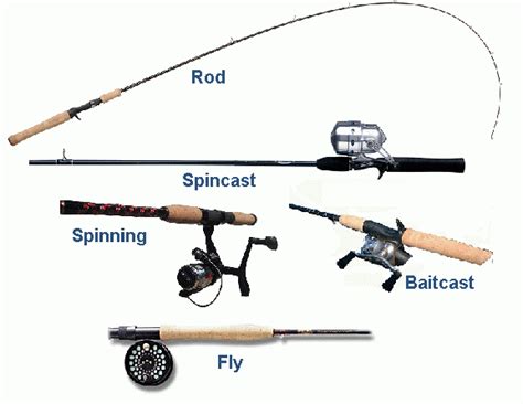 It’s all in the Pole: Fishing Pole Types and When to Use Them ...