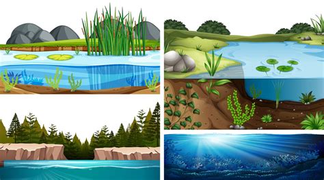 Biotic and abiotic factors — lesson. Science State Board, Class 6.