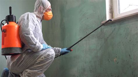 Mold Remediation Services | Mario & Sons Construction LLC