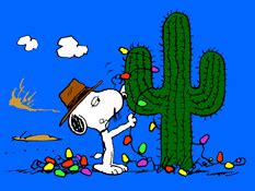 Spike's cactus | Peanuts Wiki | Fandom