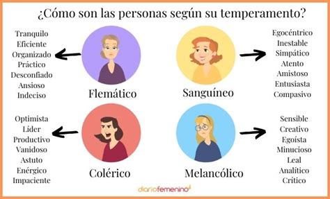 Los 4 Tipos De Temperamento Humanos Apareandose - IMAGESEE