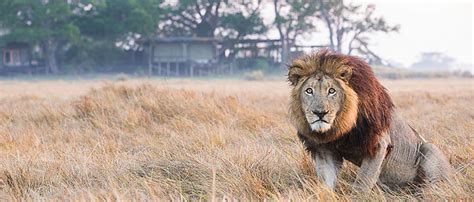 Kafue National Park | Zambia | The Africa Specialists™