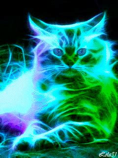 Cat GIF - Find & Share on GIPHY | Neon cat, Cats, Beautiful cats