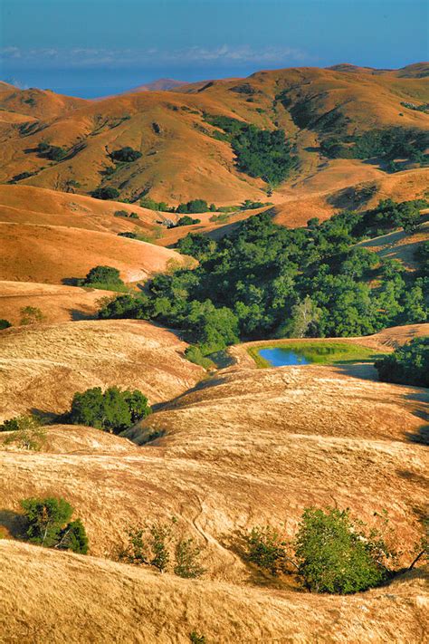 Golden Hills II Photograph by Steven Ainsworth - Fine Art America