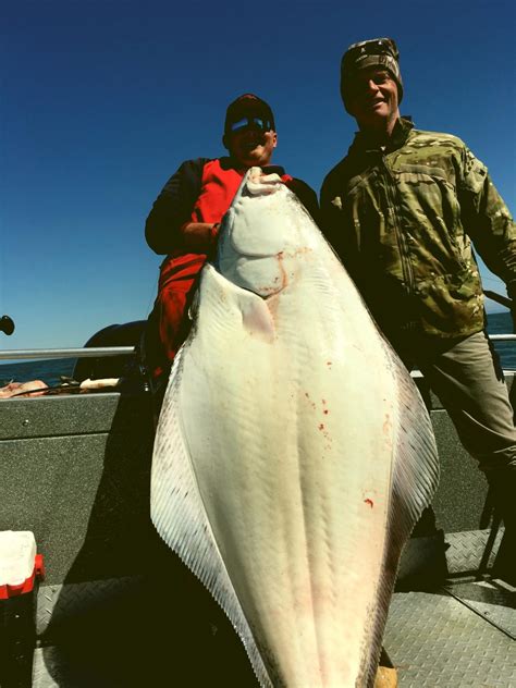 Alaska Halibut Fishing | Cook Inlet Saltwater Halibut Fishing