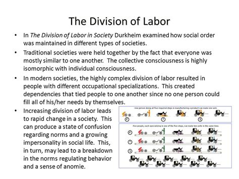 Emile Durkheim: Division of labour - TriumphIAS