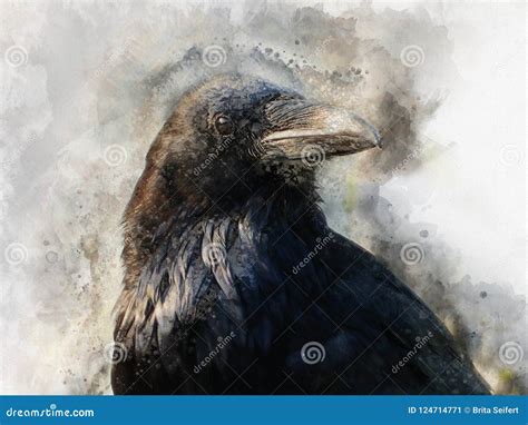 Portrait of a Crow Bird, Watercolor Painting Stock Illustration - Illustration of dark, raven ...