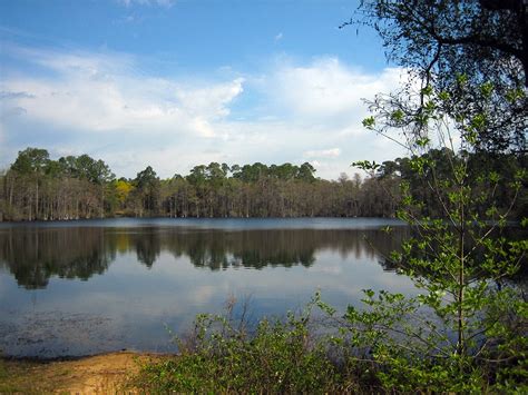 Silver Lake Trail | Florida Hikes!