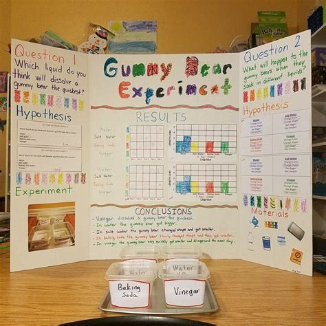 Scientific Method / Gummy Bear Experiment / Science Fair : Some of the worksheets I… | Science ...