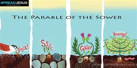 The Parable of the Sower Matthew 13