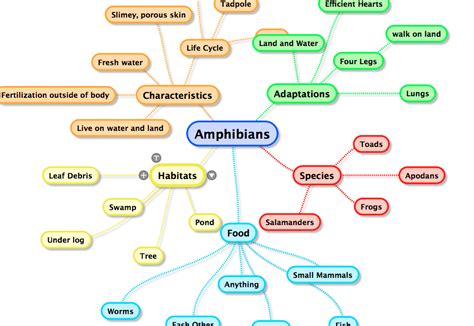 Mind Mapping - Idea System: Creativity Lessons